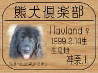 ���I�[�i�[�́A���݂ف�����ł���